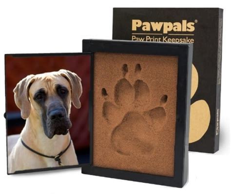 Pawpals Paw Print: The Cutest Way to Leave Your Mark!
